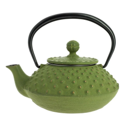 Théières en fonte japonaise Iwachu