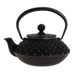 Théières en fonte japonaise Iwachu